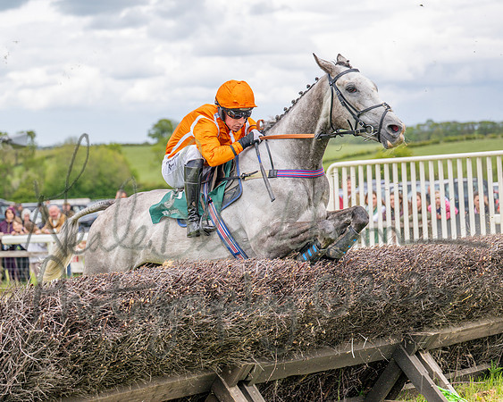 Race 2 - Maiden (72 of 118)
