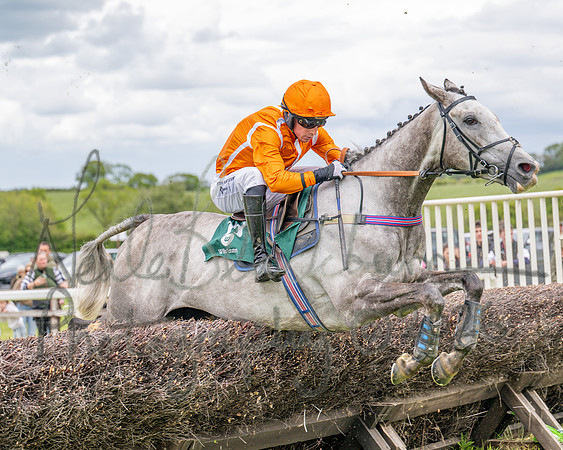 Race 2 - Maiden (73 of 118)