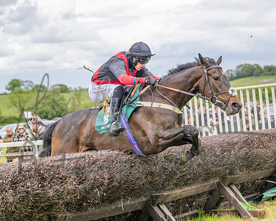 Race 2 - Maiden (74 of 118)
