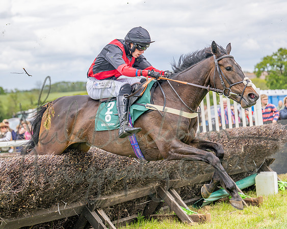 Race 2 - Maiden (75 of 118)