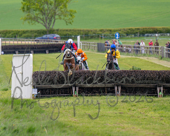 Race 2 - Maiden (76 of 118)