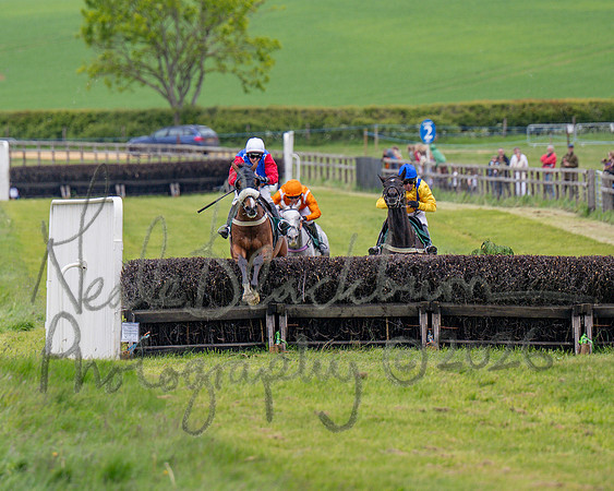 Race 2 - Maiden (77 of 118)