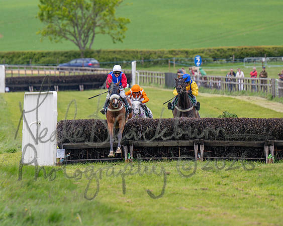 Race 2 - Maiden (78 of 118)