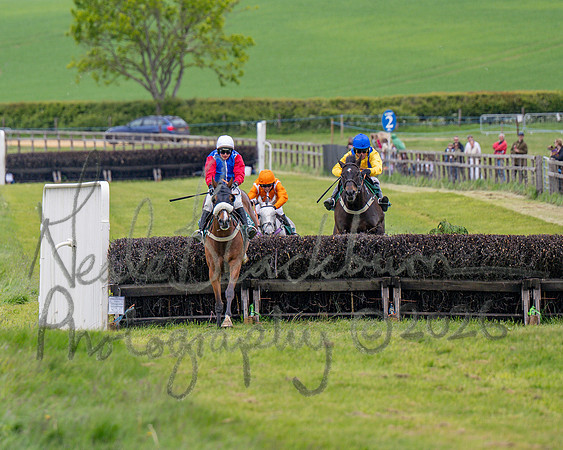 Race 2 - Maiden (79 of 118)
