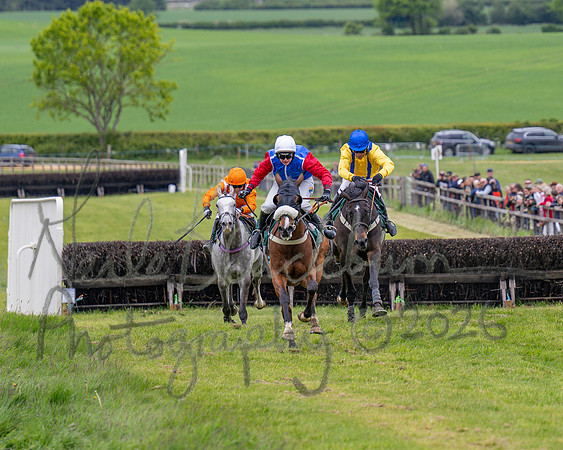 Race 2 - Maiden (80 of 118)
