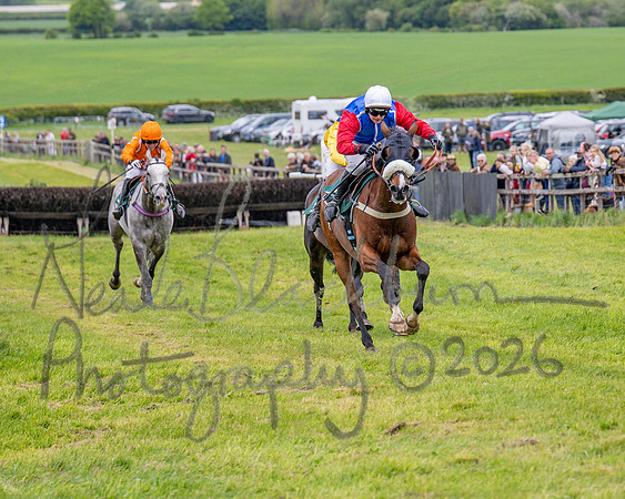 Race 2 - Maiden (82 of 118)