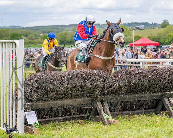 Race 2 - Maiden (83 of 118)