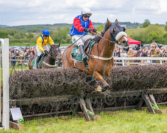 Race 2 - Maiden (84 of 118)