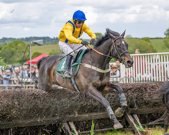 Race 2 - Maiden (88 of 118)