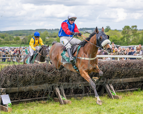 Race 2 - Maiden (85 of 118)