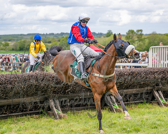Race 2 - Maiden (86 of 118)