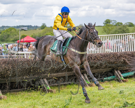 Race 2 - Maiden (89 of 118)