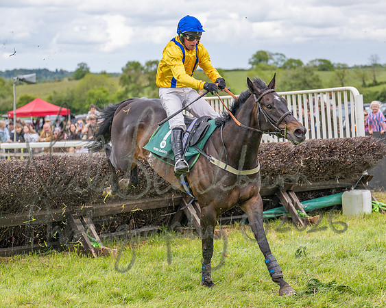 Race 2 - Maiden (90 of 118)