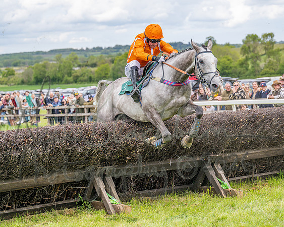 Race 2 - Maiden (92 of 118)
