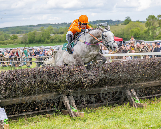 Race 2 - Maiden (91 of 118)