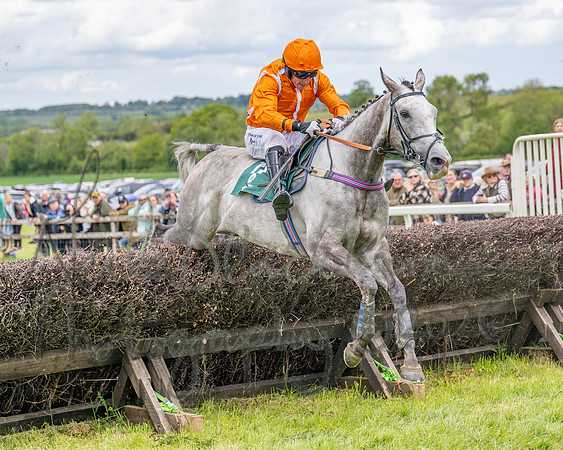 Race 2 - Maiden (93 of 118)