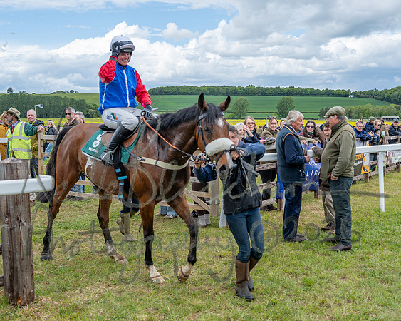 Race 2 - Maiden (97 of 118)