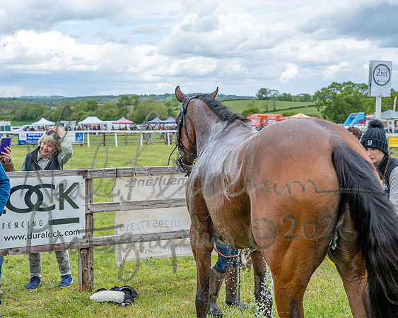 Race 2 - Maiden (108 of 118)
