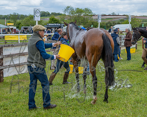 Race 2 - Maiden (110 of 118)