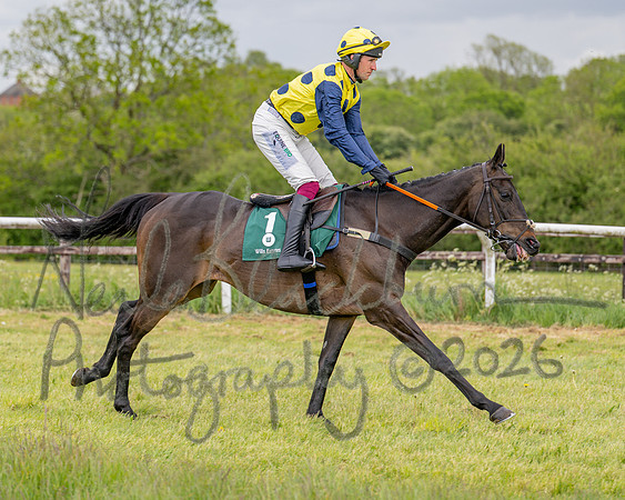 Race 3 - Mixed Open (24 of 93)