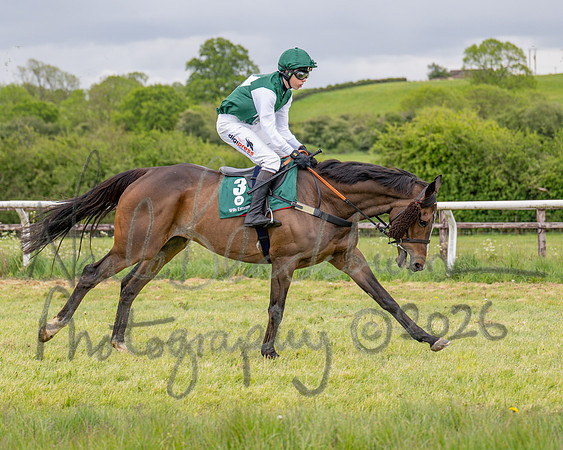 Race 3 - Mixed Open (30 of 93)