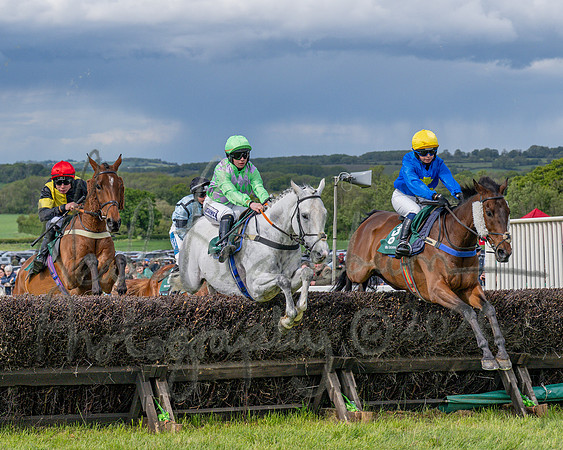 Race 4 - Novice Riders final (48 of 145)
