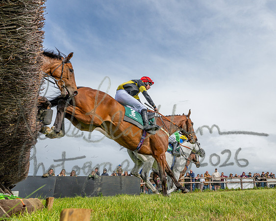 Race 4 - Novice Riders final (55 of 145)