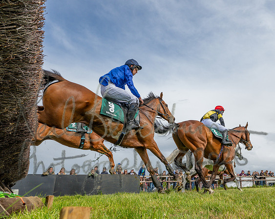 Race 4 - Novice Riders final (56 of 145)