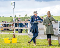 Race 5 - Restricted (2 of 151)