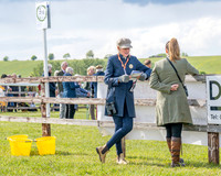 Race 5 - Restricted (3 of 151)