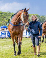 Race 5 - Restricted (4 of 151)