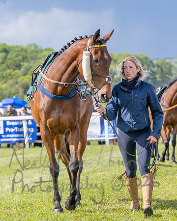 Race 5 - Restricted (4 of 151)