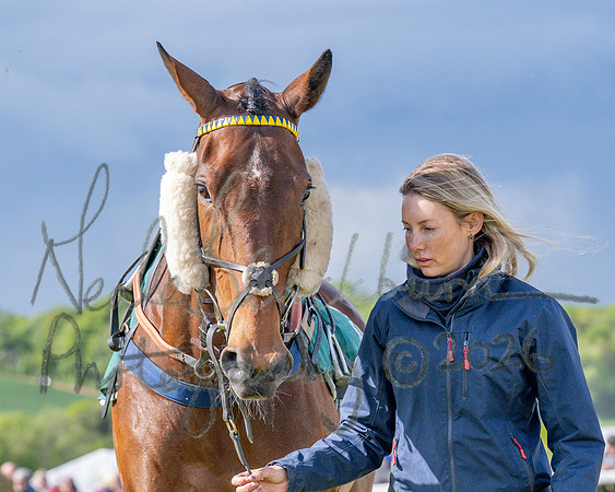 Race 5 - Restricted (5 of 151)