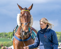 Race 5 - Restricted (6 of 151)