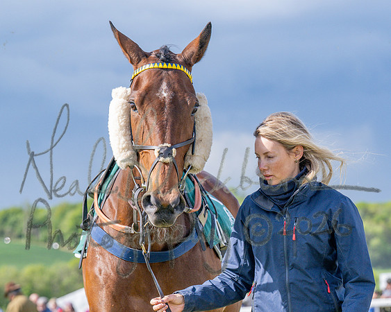 Race 5 - Restricted (6 of 151)