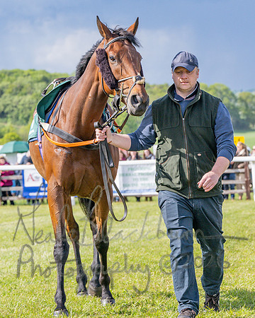 Race 5 - Restricted (9 of 151)