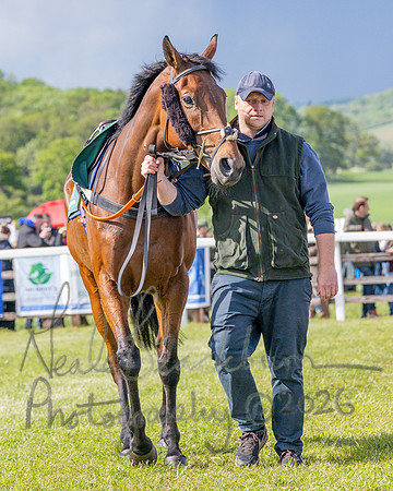Race 5 - Restricted (8 of 151)