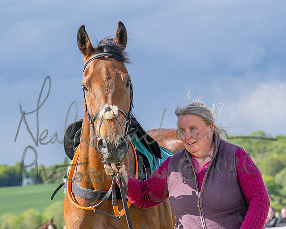 Race 5 - Restricted (14 of 151)