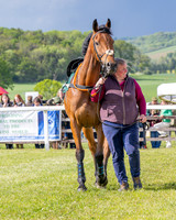 Race 5 - Restricted (12 of 151)