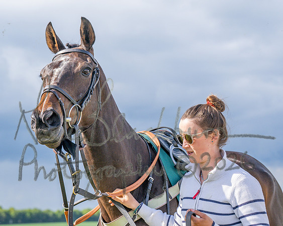 Race 5 - Restricted (22 of 151)
