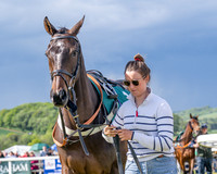 Race 5 - Restricted (20 of 151)