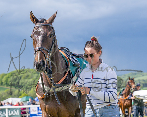 Race 5 - Restricted (20 of 151)