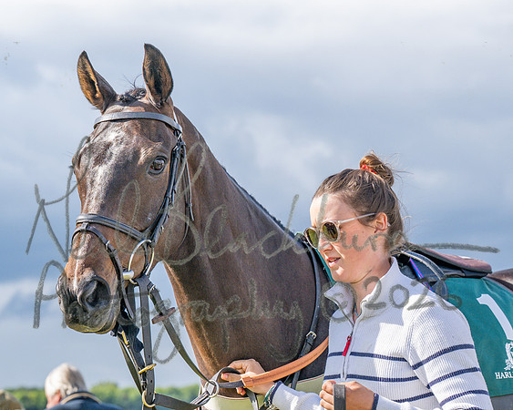 Race 5 - Restricted (23 of 151)