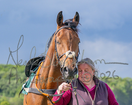 Race 5 - Restricted (29 of 151)