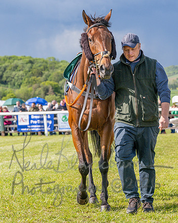 Race 5 - Restricted (24 of 151)