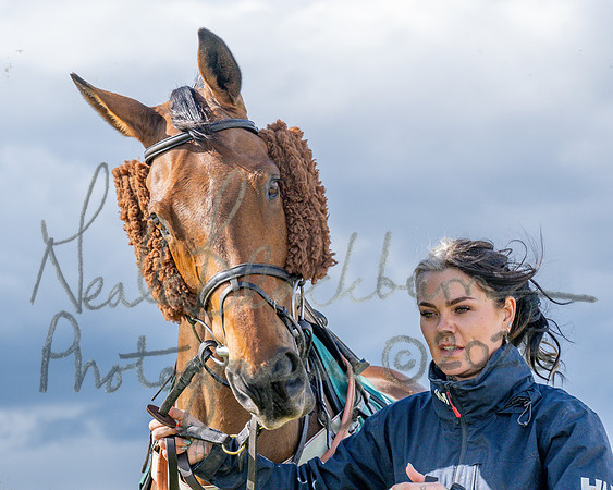 Race 5 - Restricted (31 of 151)