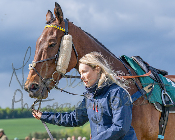 Race 5 - Restricted (32 of 151)