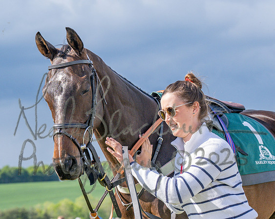 Race 5 - Restricted (34 of 151)