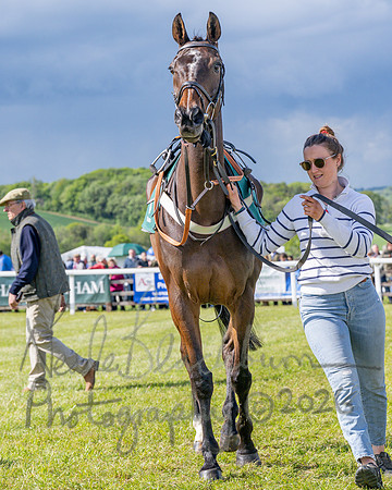 Race 5 - Restricted (33 of 151)