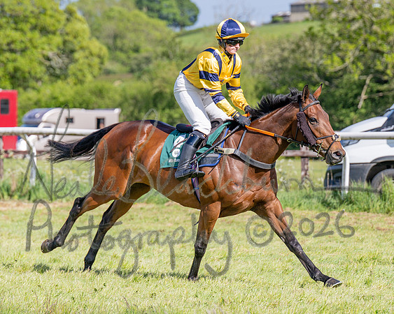 Race 5 - Restricted (38 of 151)